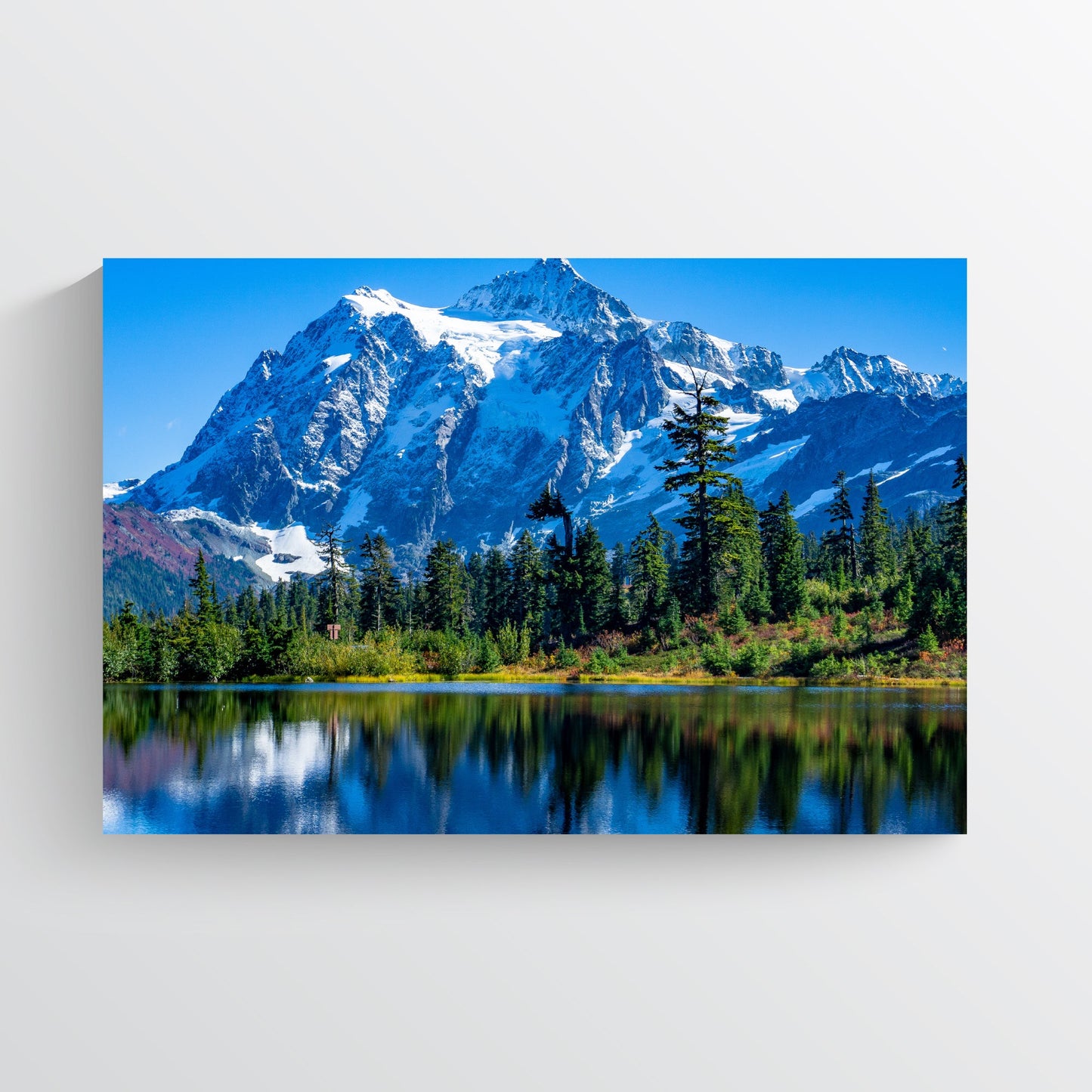 Order Poster Print Walmart Canada, Costco Enlargement Photo Service
